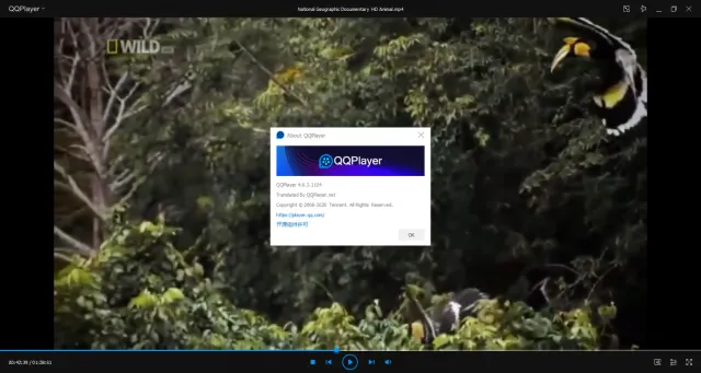 تحميل برنامج تشغيل الفيديو والصوت بجودة عالية الدقة QQ Player للويندوز والأندرويد
