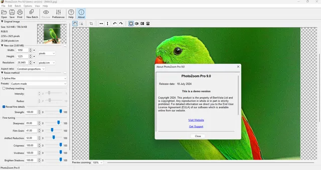 تحميل برنامج تكبير حجم الصور والحفاظ على جودتها PhotoZoom Pro للويندوز